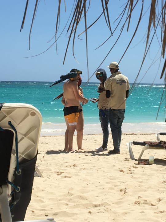 Außenansicht Hotel Grand Palladium Palace Resort, Spa & Casino