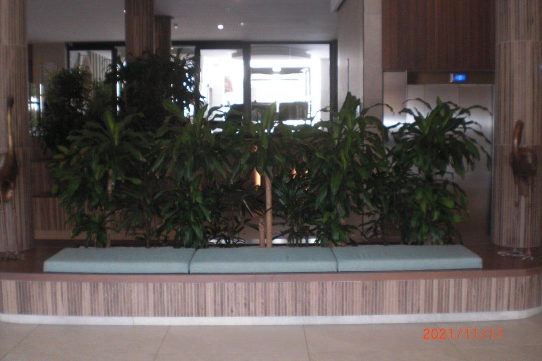 Sonstiges Hotel Riu Palace Jandia