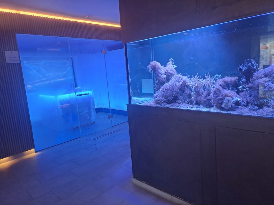 Sonstiges Der Birkenhof - Spa & Genuss Resort