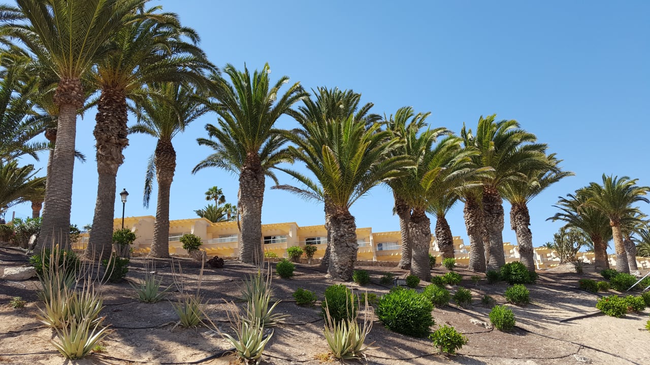 Gartenanlage SBH Monica Beach Resort