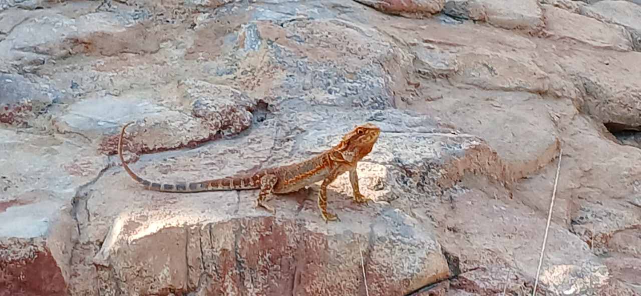 Sport & Freizeit Calimera Yati Beach