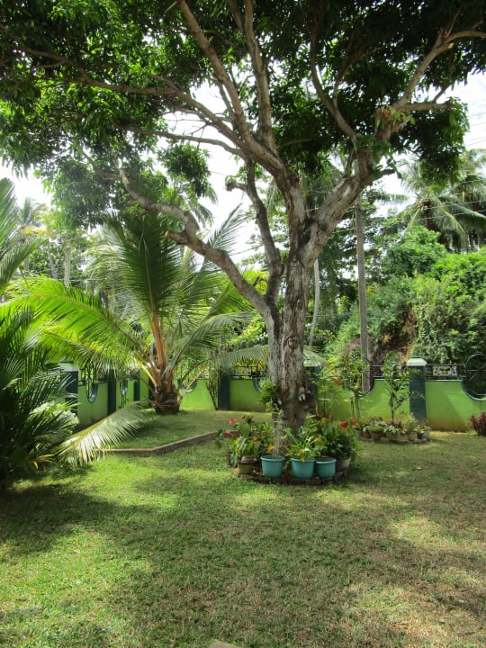 Schöner, gepflegter Garten Srinik Guest House
