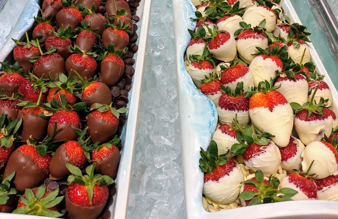 Gastro Lara Barut Collection