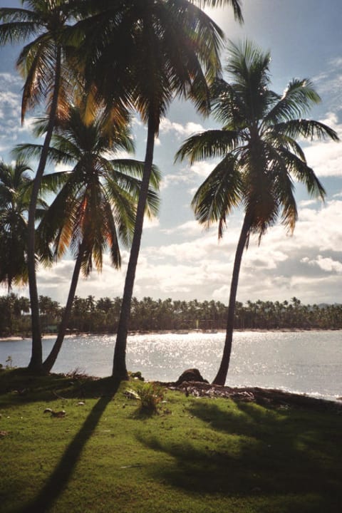 Abendstimmung Wyndham Alltra Samana