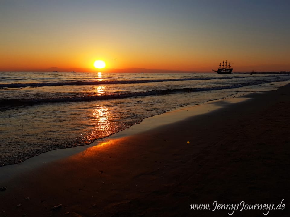 Strand Acanthus Cennet Barut Collection