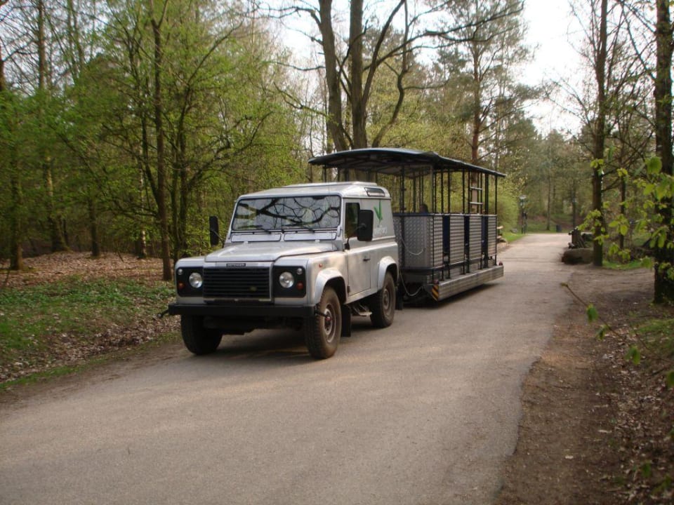 Der Parkbus Center Parcs De Kempervennen