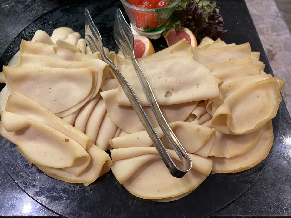 Gastro Seashell Vega