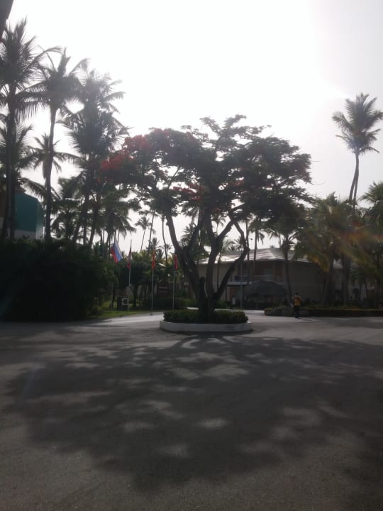 Gartenanlage Hotel Grand Palladium Palace Resort, Spa & Casino