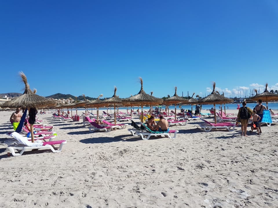 Strand Alcudia Garden Aparthotel