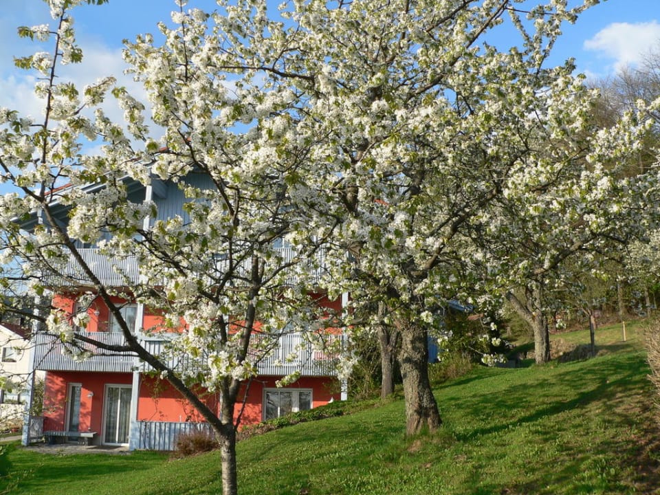Frühling Landhaus Korte