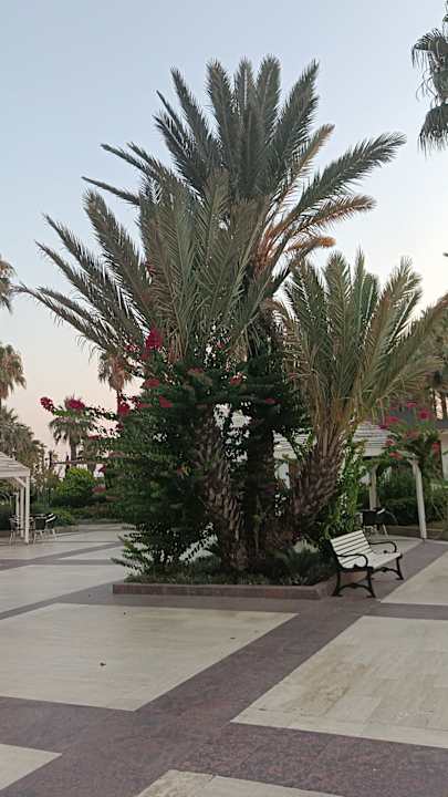 Gartenanlage Adora Hotel & Resort