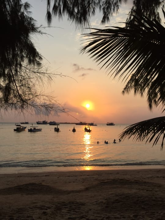 Ausblick Coral Grand Resort Koh Tao