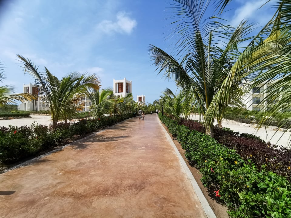 Gartenanlage Hotel Riu Palace Santa Maria