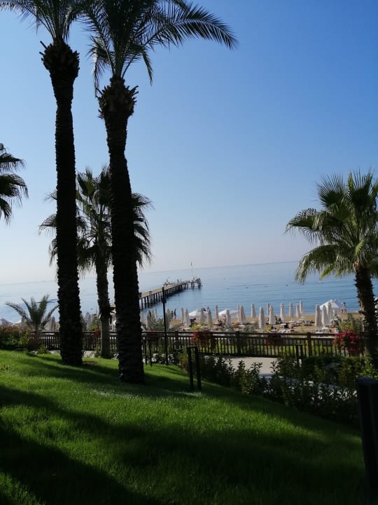 Strand PALOMA Perissia