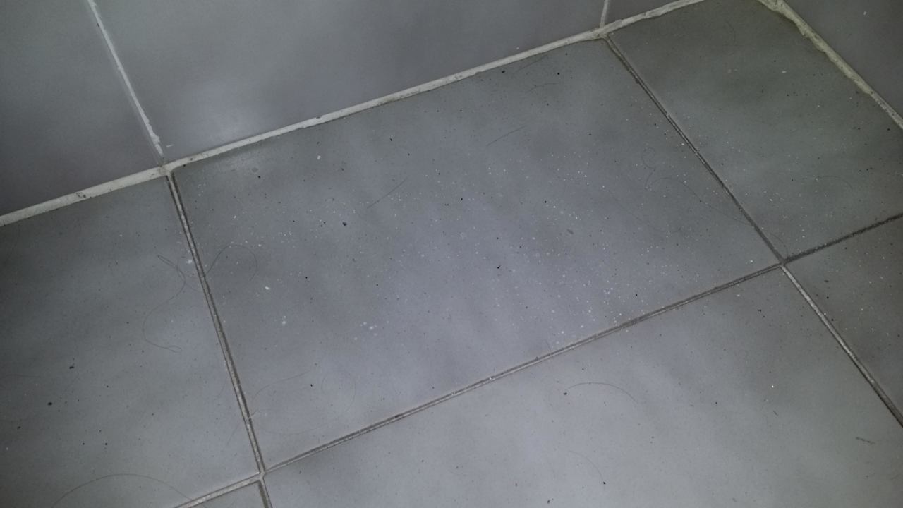 Reinigung mangelhaft HSM Lago Park