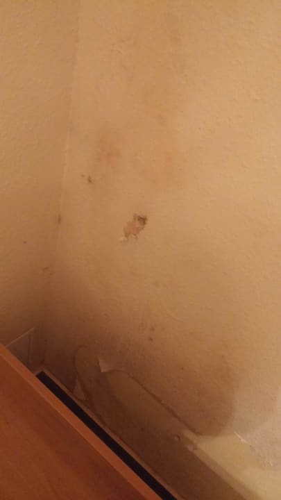 Schimmel Tapete Hotel Spreewitz am Kurfürstendamm