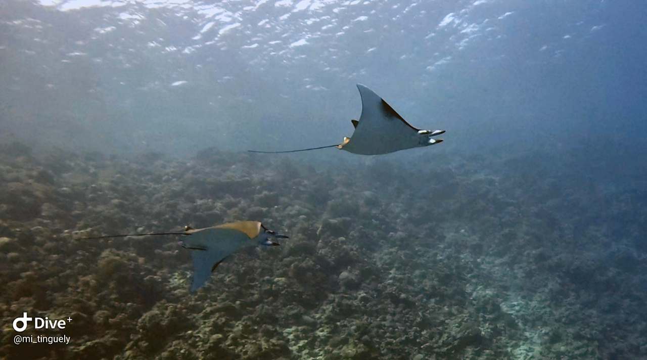 Sport & Freizeit Serenity Alma Heights