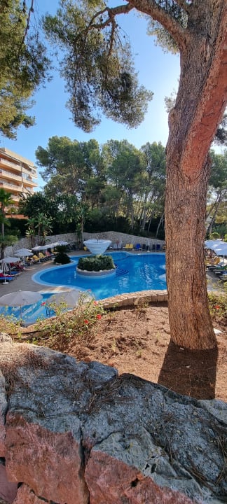 Pool allsun Hotel Cormoran
