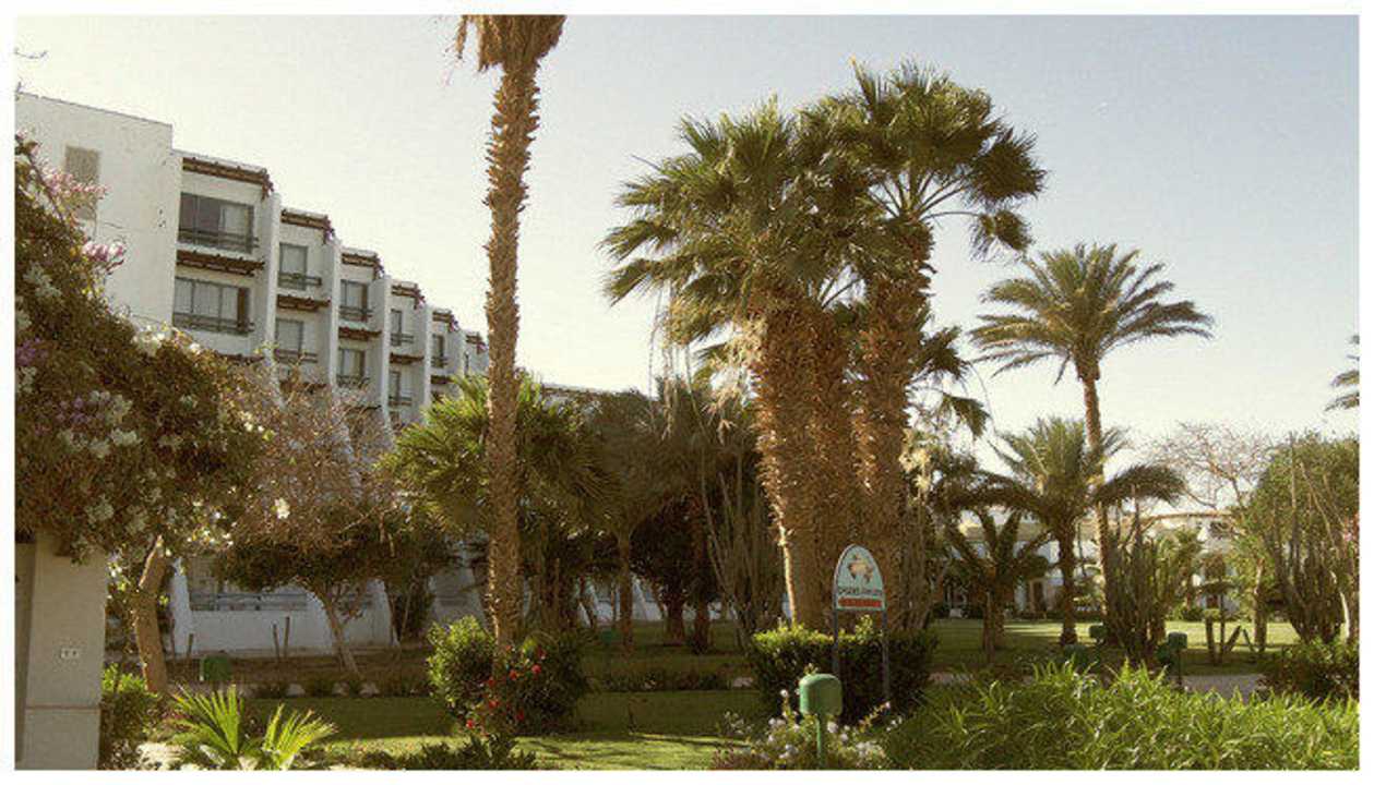 Palm Shams Safaga Resort