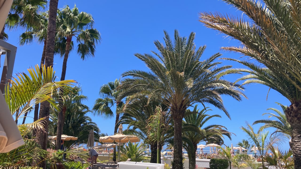 Gartenanlage Hotel Riu Gran Canaria