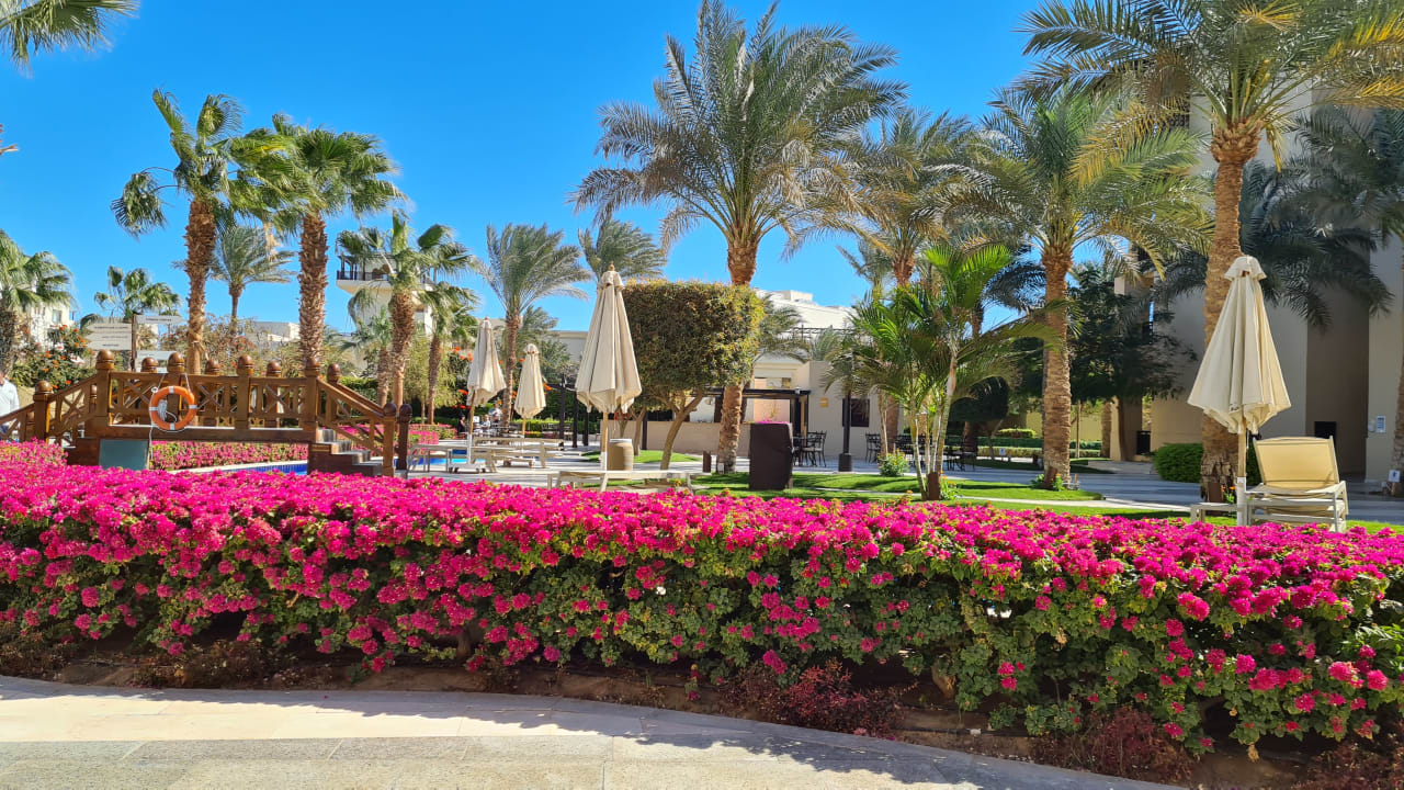 Gartenanlage Steigenberger Aqua Magic