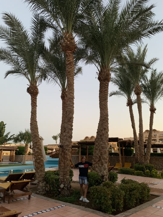 Pool Sharm Grand Plaza Resort