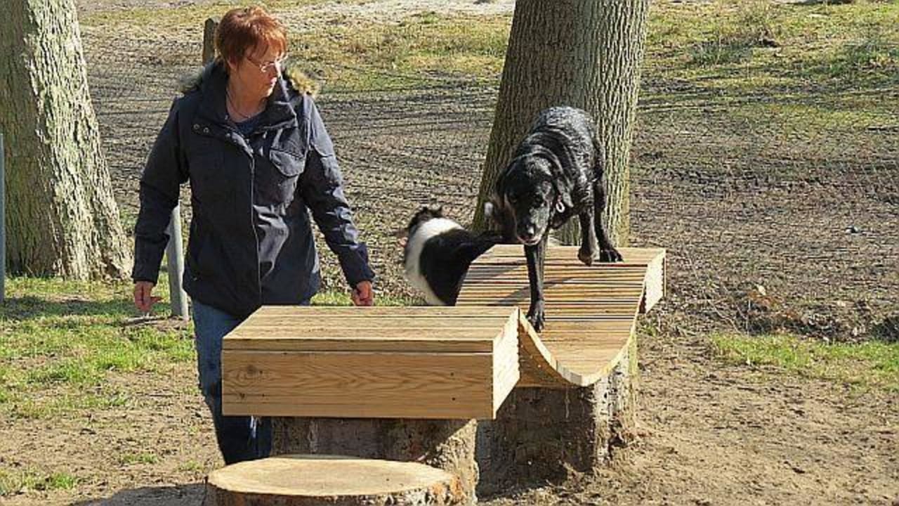 Amys Hundeparcour Amy's Wohlfühlvilla