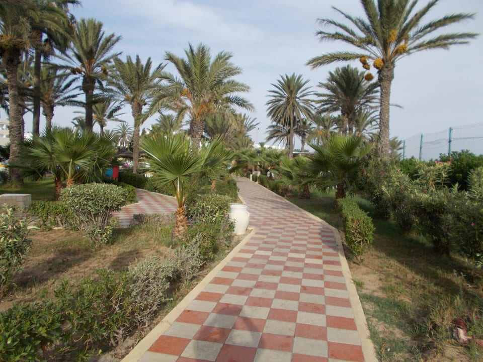 Weg vom Strand zum Pool Houda Golf & Beach Club