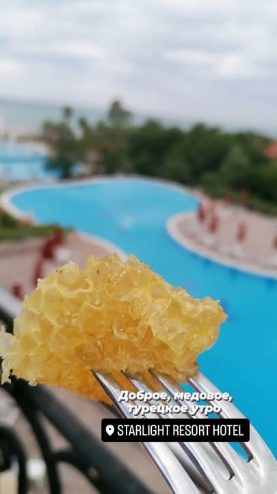 Pool Starlight Resort Hotel