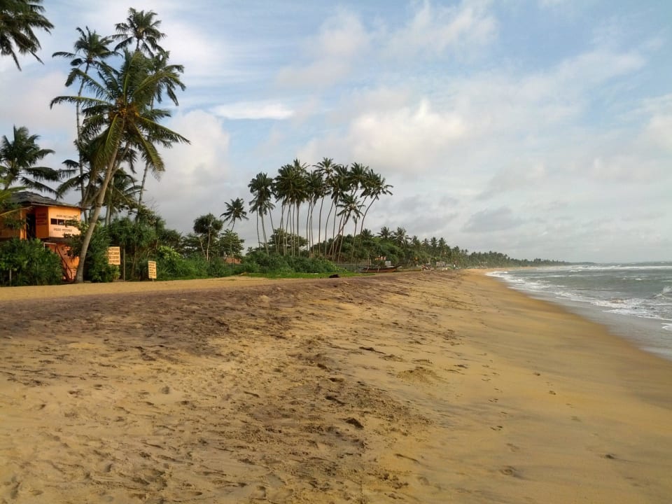 Strand: Blick nach links Mermaid Hotel & Club