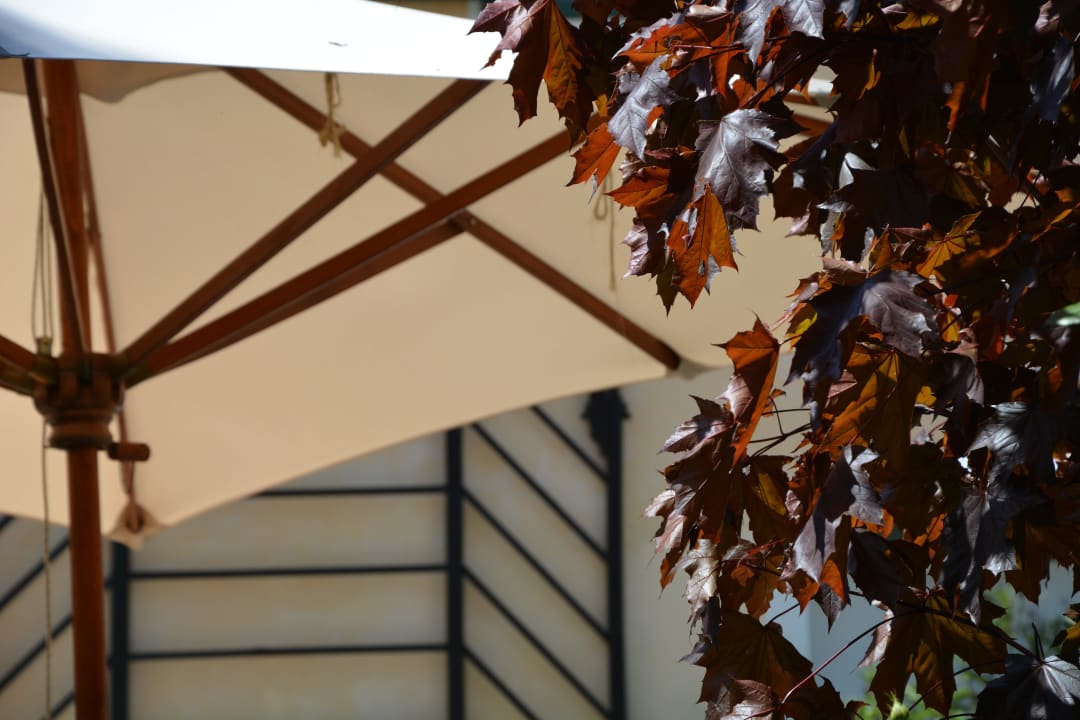 Schlosshof  Hotel Schloss Gamlitz