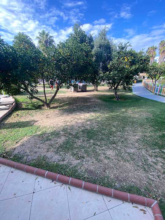 Gartenanlage Horus Paradise Luxury Resort & Club