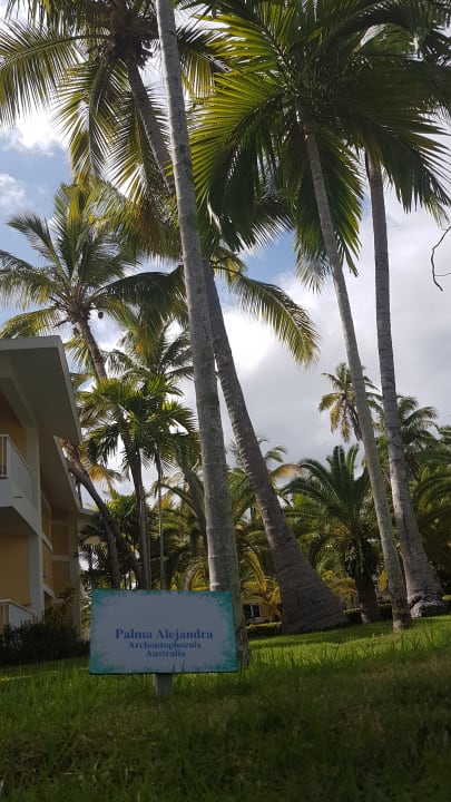 Gartenanlage Grand Palladium Punta Cana Resort & Spa