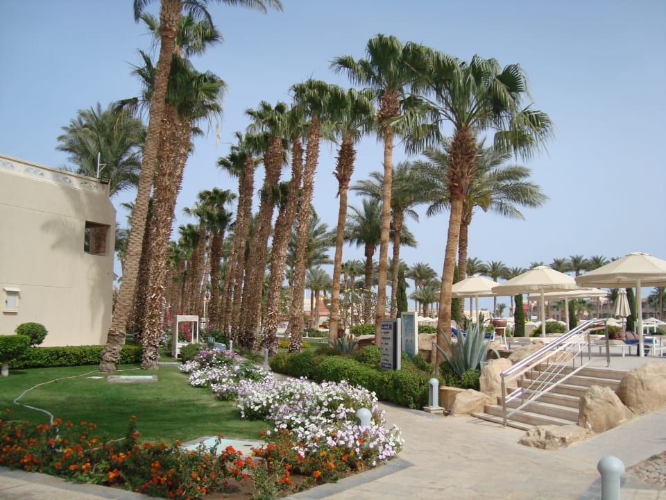 Gartenanlage Beach Albatros Resort