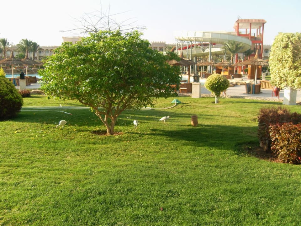 Garten Beach Albatros Resort