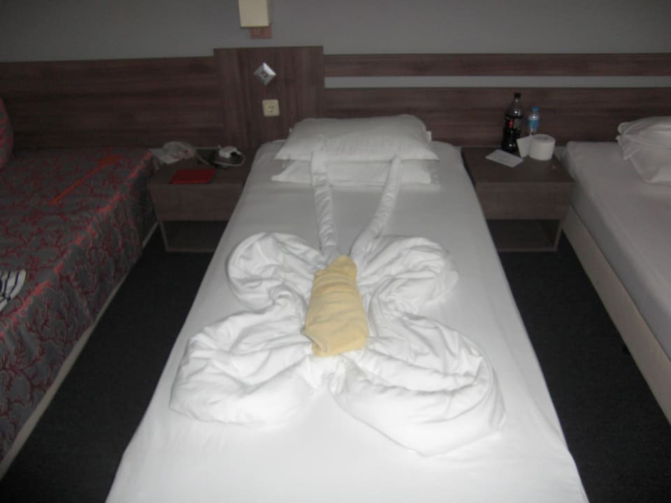 Zimmer Odessos Park Hotel