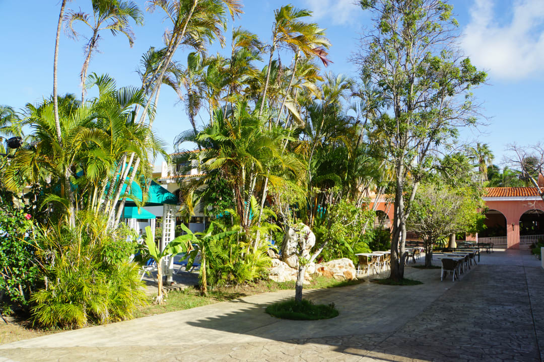 Gartenanlage Hotel Roc Barlovento