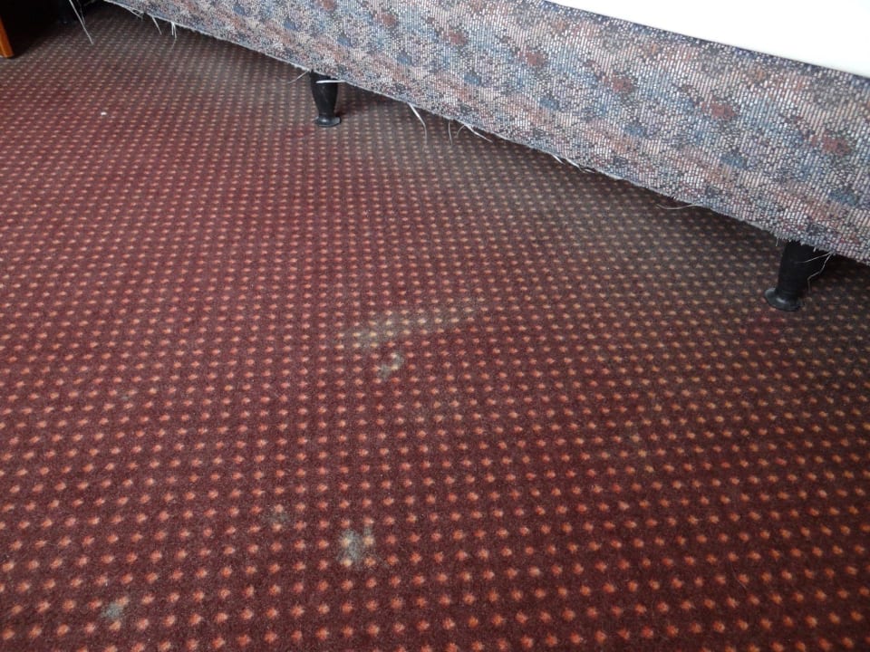 Teppichboden Seehotel Brandenburg a.d. Havel