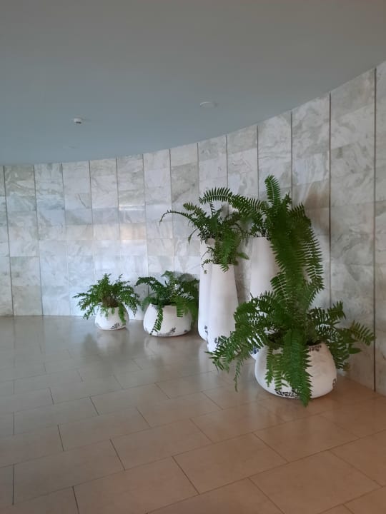 Lobby Iberostar Waves Gaviotas Park