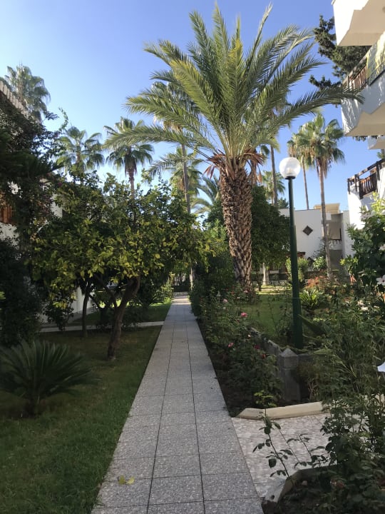 Gartenanlage Hotel Antik Garden & Antik Butik