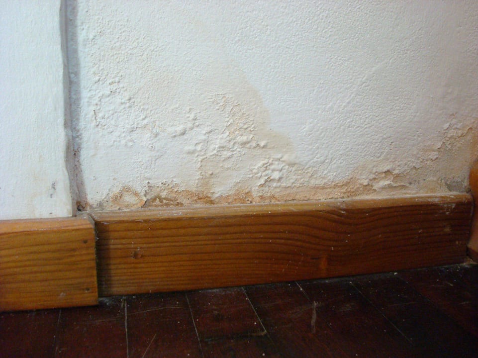 Zimmer 161 Eri Maldives