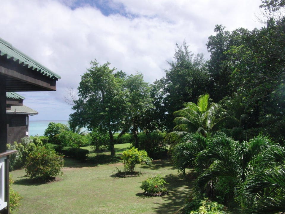 Blick Richtung Meer Acajou Beach Resort