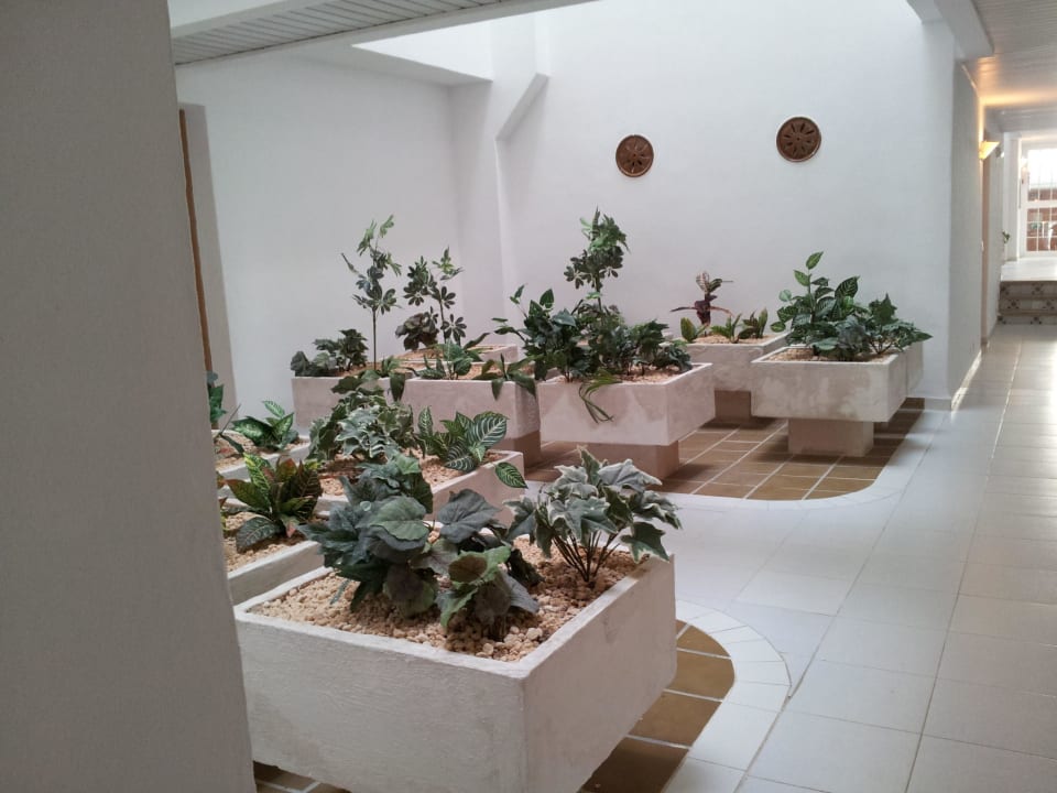 Innenansicht Gavimar La Mirada Club Resort