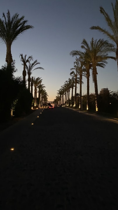 Gartenanlage Sunrise Tucana Resort - Grand Select