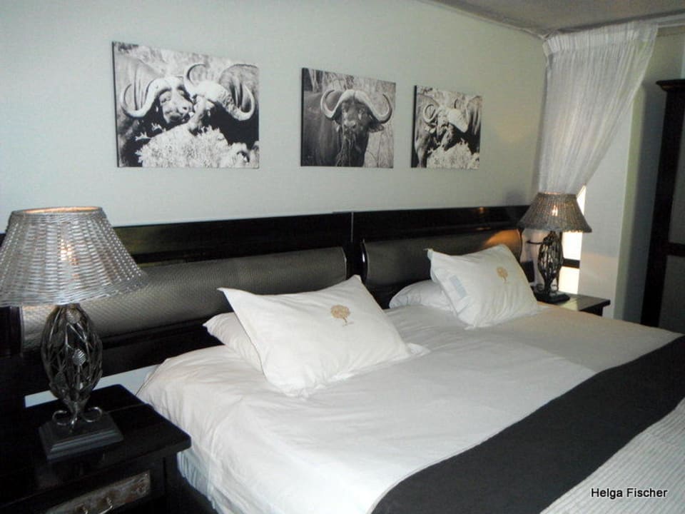 Schön Afrikanisch Hotel Ivory Tree Game Lodge