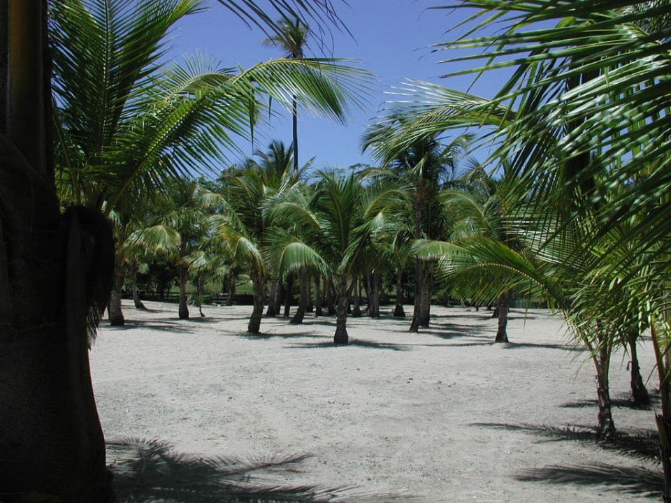 Strand Playabachata Hotel