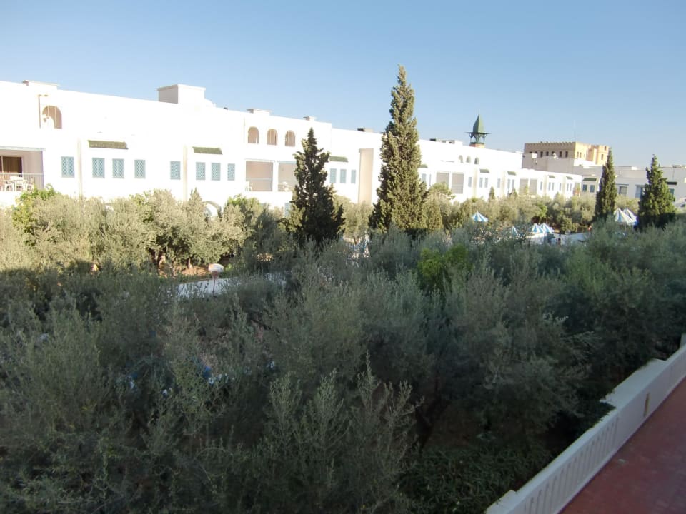 Der Pool liegt inmitten der Bäume Diar Lemdina Hotel