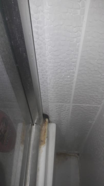 Zimmer Maya World Park Hotel