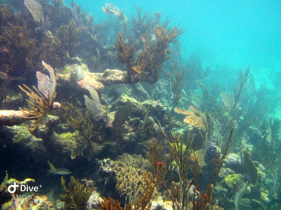 Sport & Freizeit Akumal Bay Beach & Wellness Resort