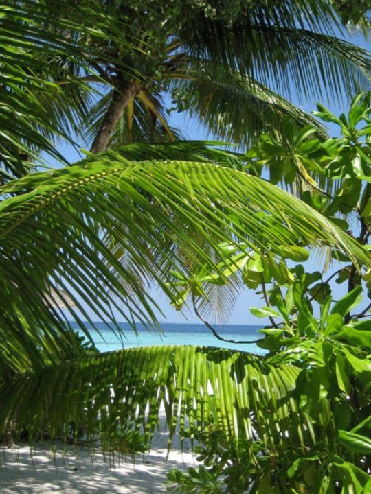 Banyan Tree, Vabbinfaru Banyan Tree Vabbinfaru